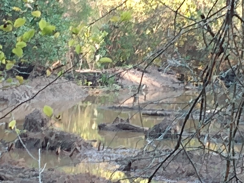 Chambers County