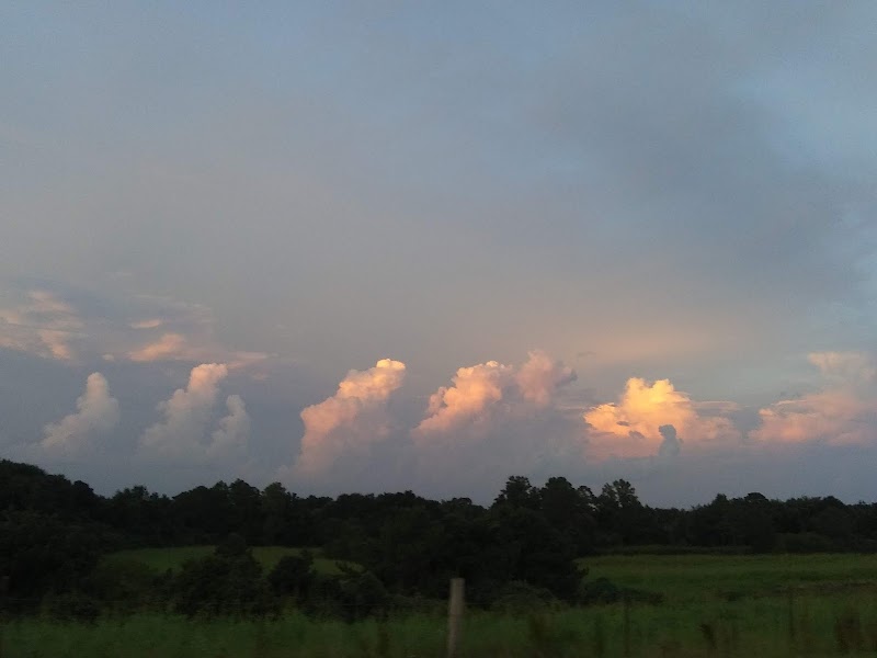 Marion County