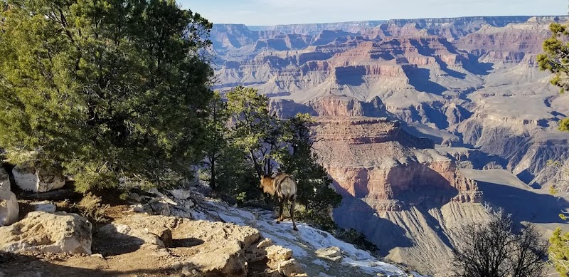 Coconino County