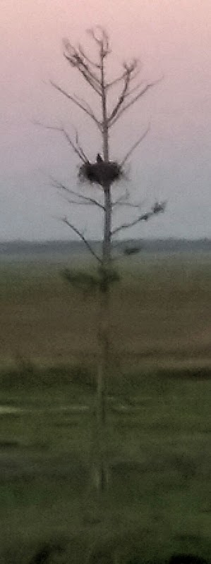 Pointe Coupee Parish