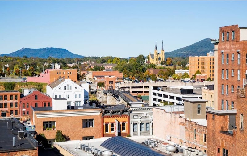 Roanoke city