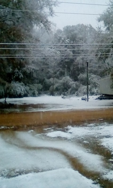 Hale County