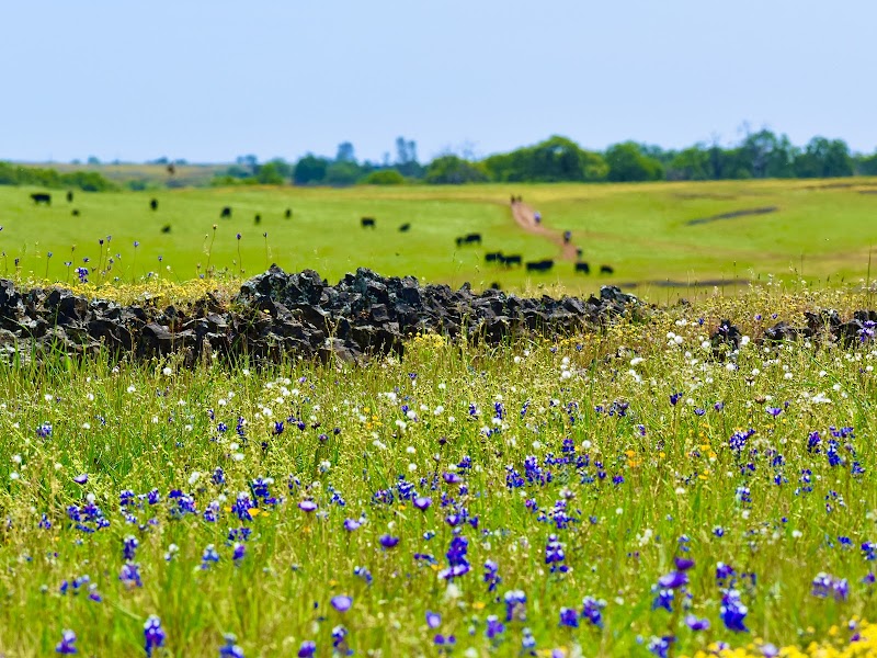 Butte County