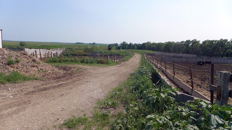 Beadle County
